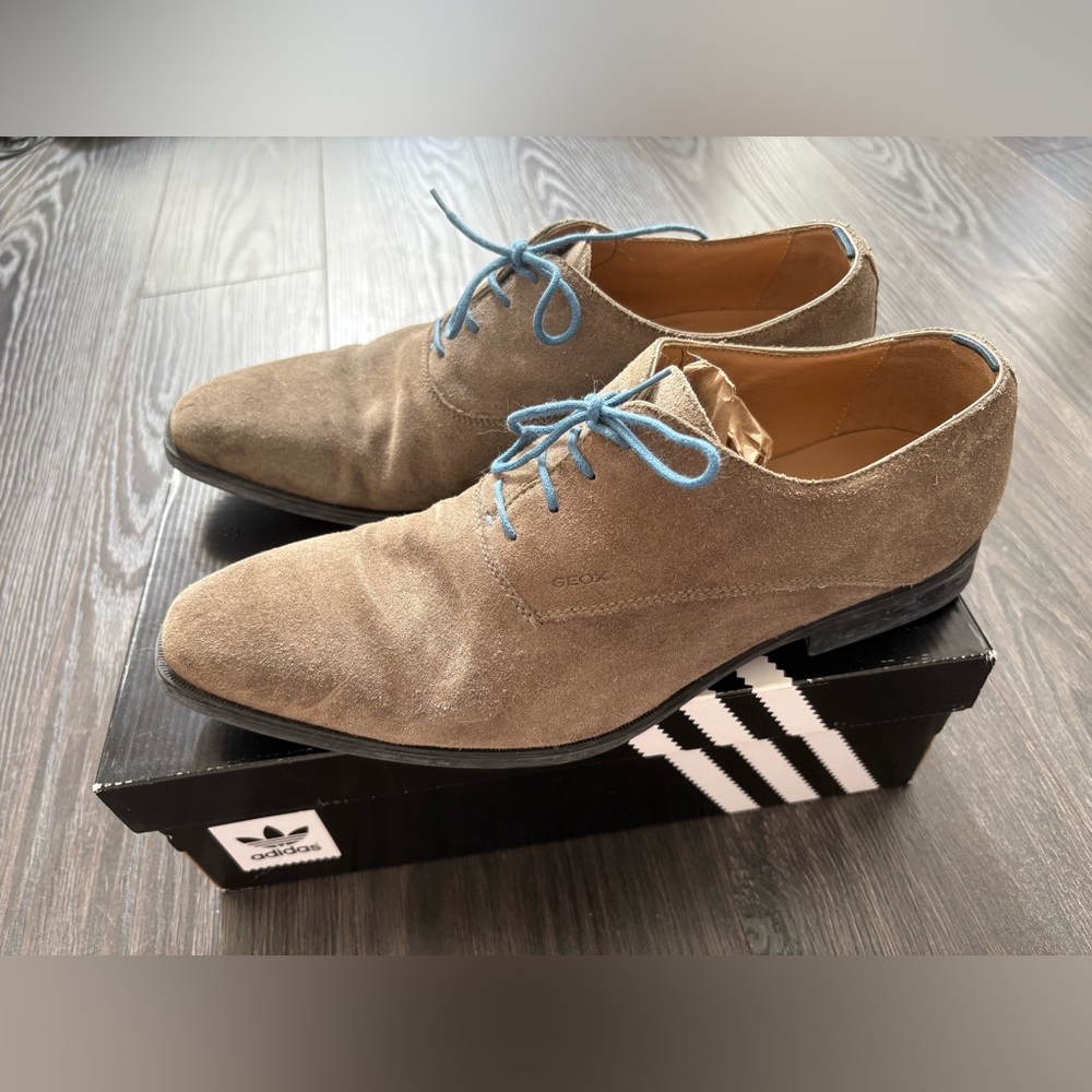 Geox Men's Taupe/Brown Suede Oxfords with Blue Laces in US Men Size 9.5 to 10
